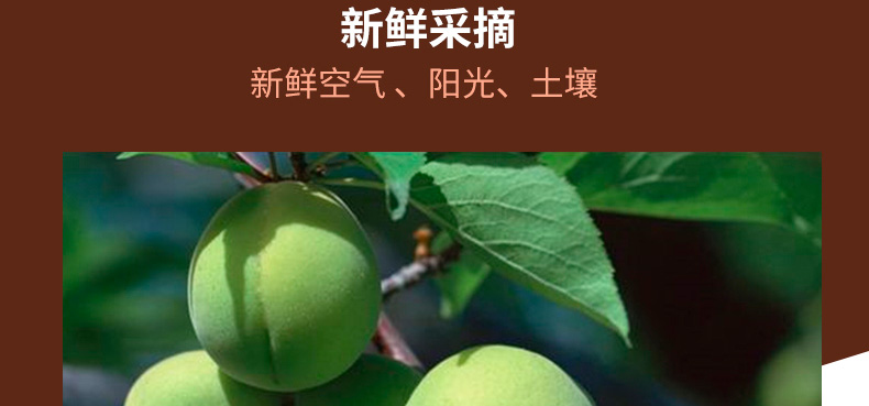 尊龙凯时人生就是搏·(中国)国际AG馆黑糖话梅糖